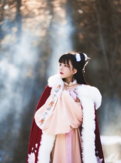 团鬼六女警花的绳途_4K免费观看视频